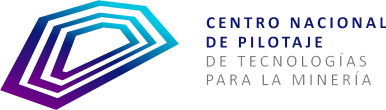 2025-cnp