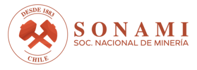 SONAMI